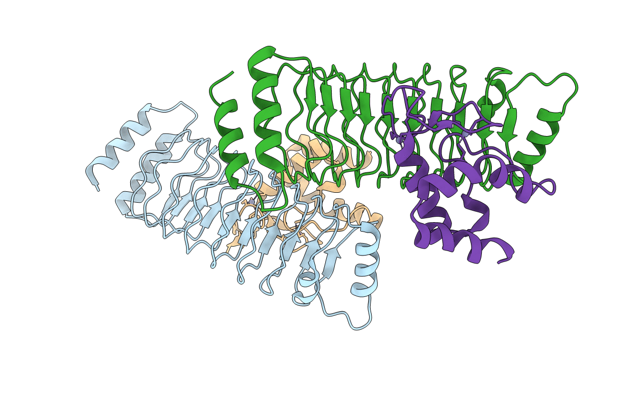 7V8G image