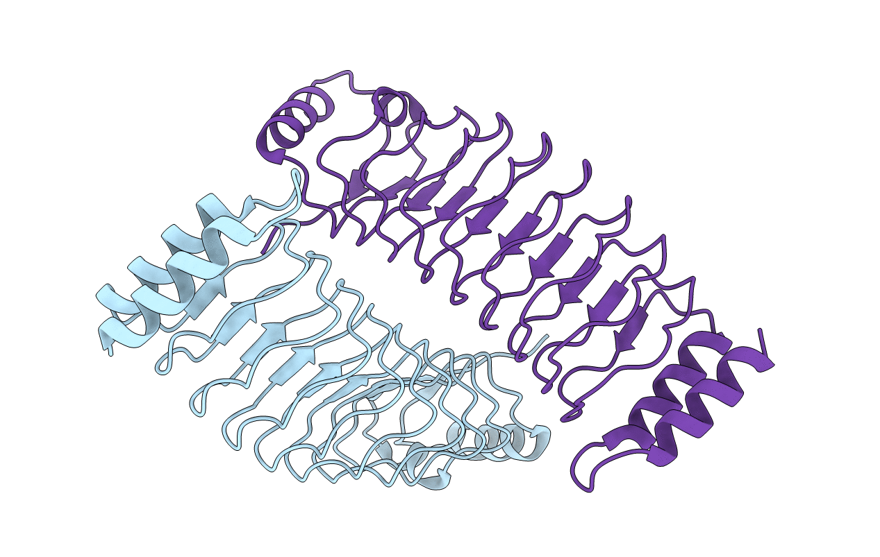 7V8H image