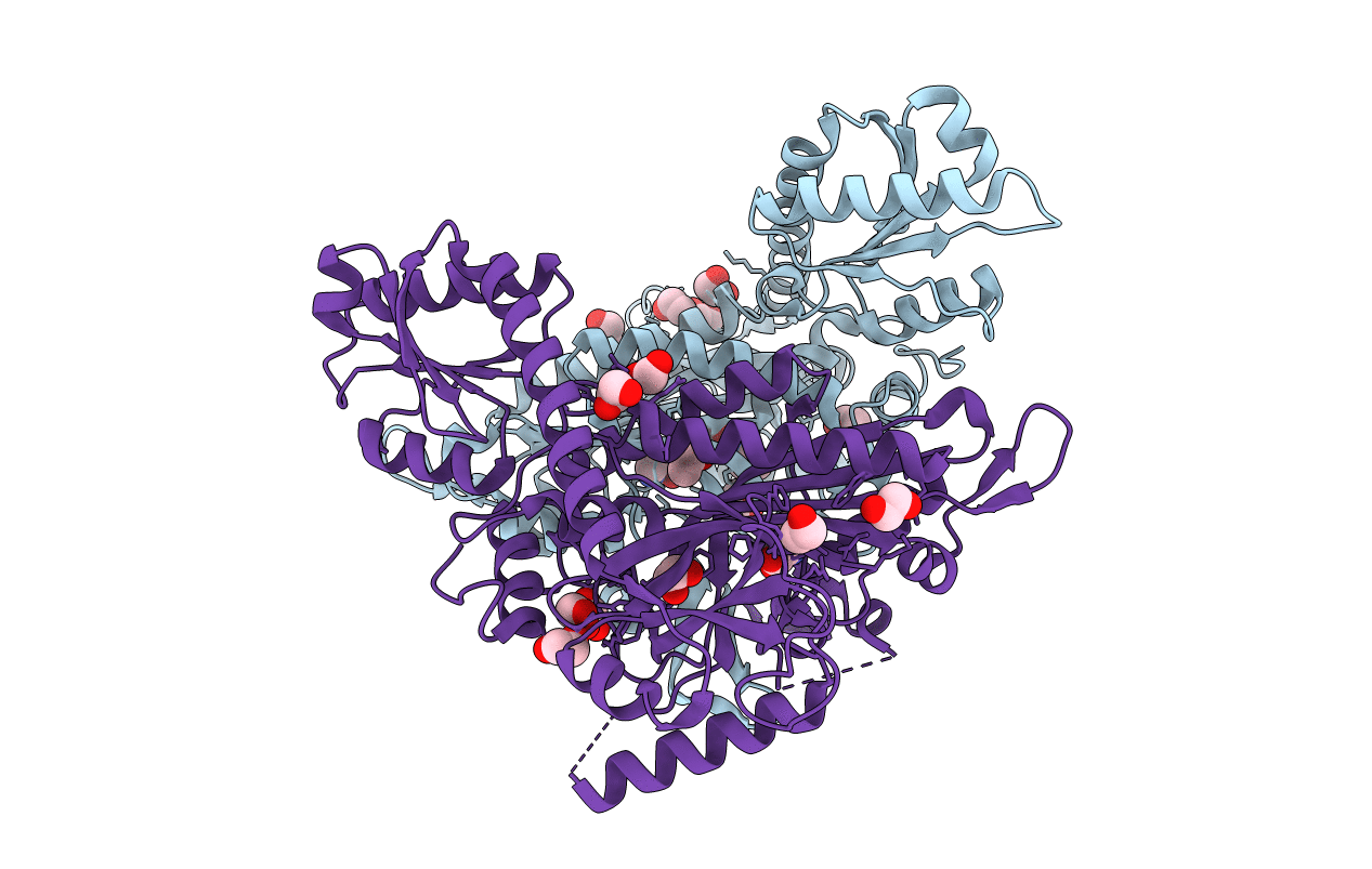 7V8K image
