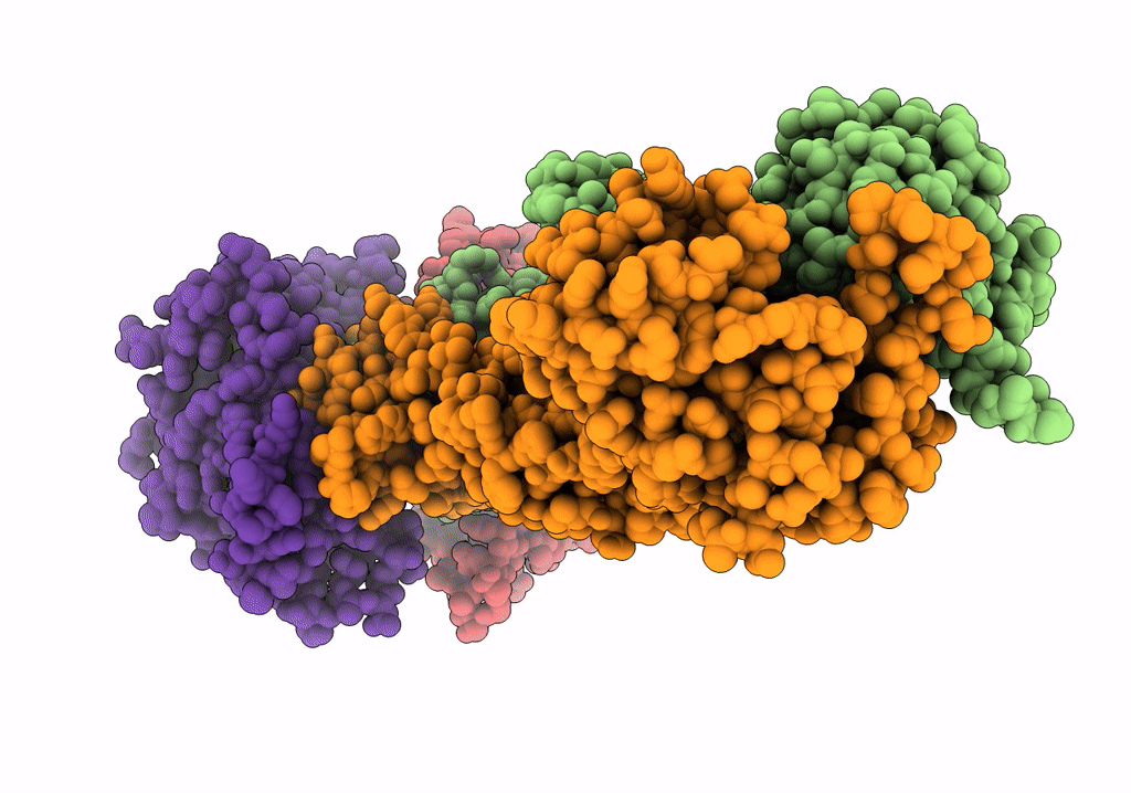 7V8L image