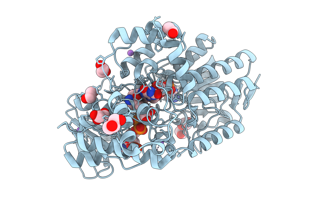 7V8R image