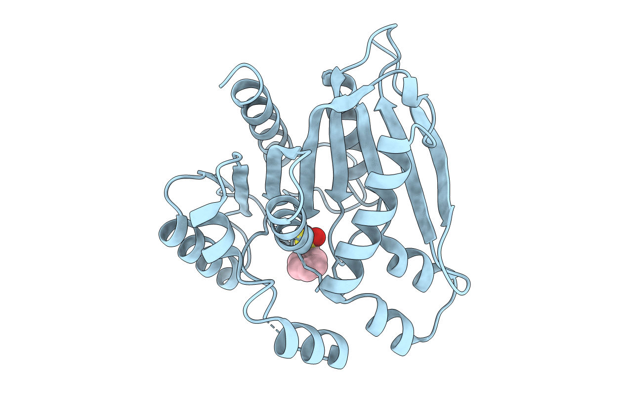 7V8X image