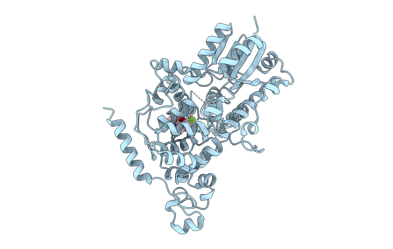 7V8Z image
