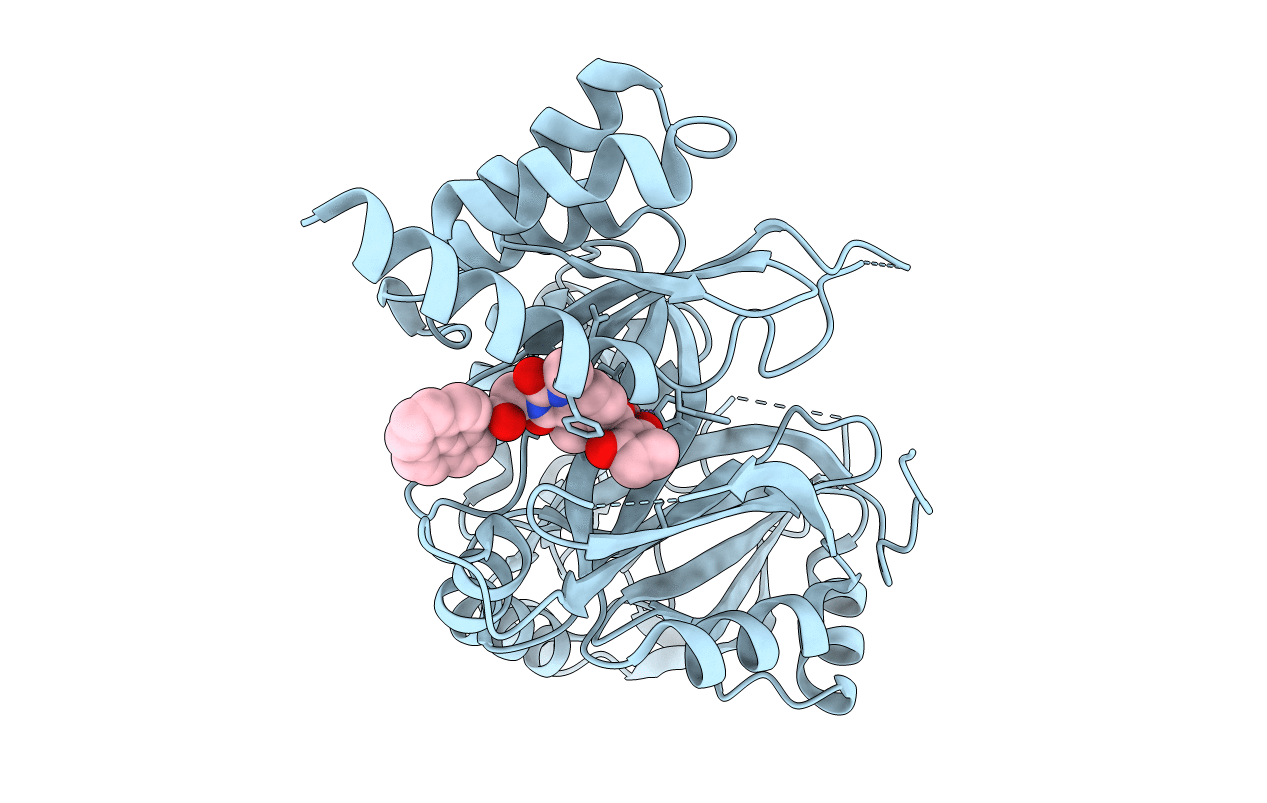 7VC8 image