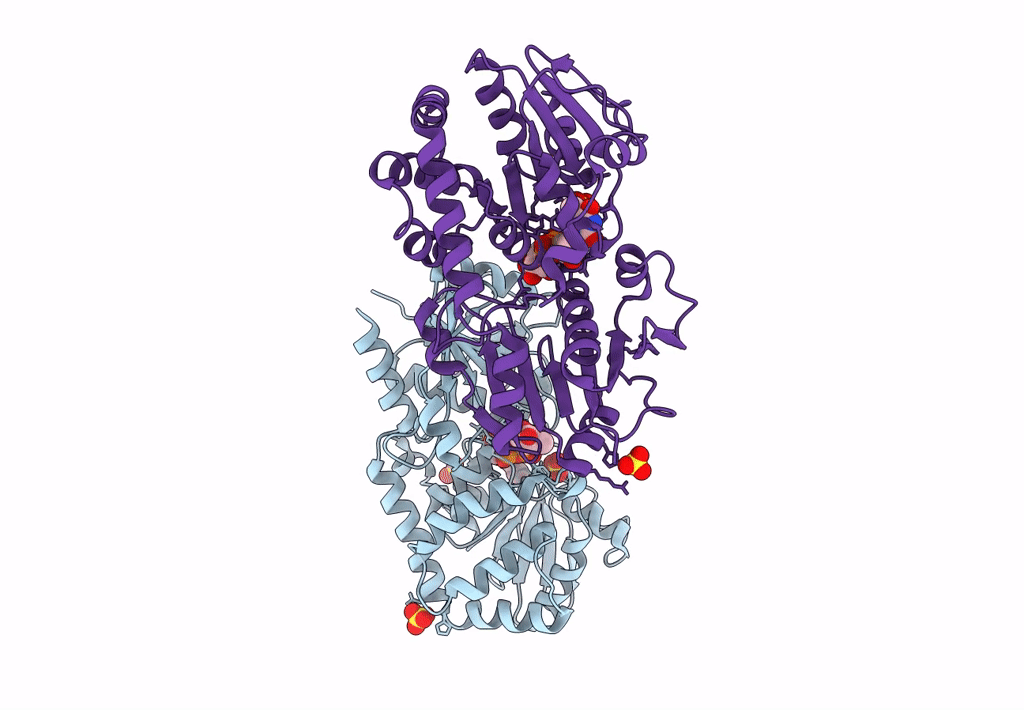 7VCH image