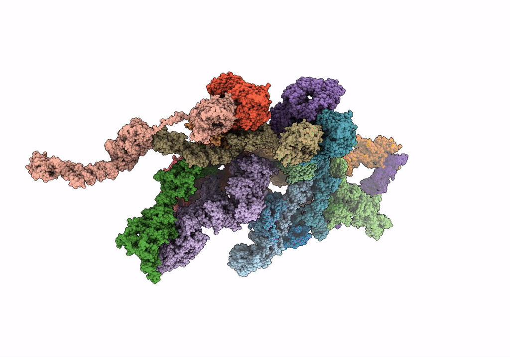 7VCI image
