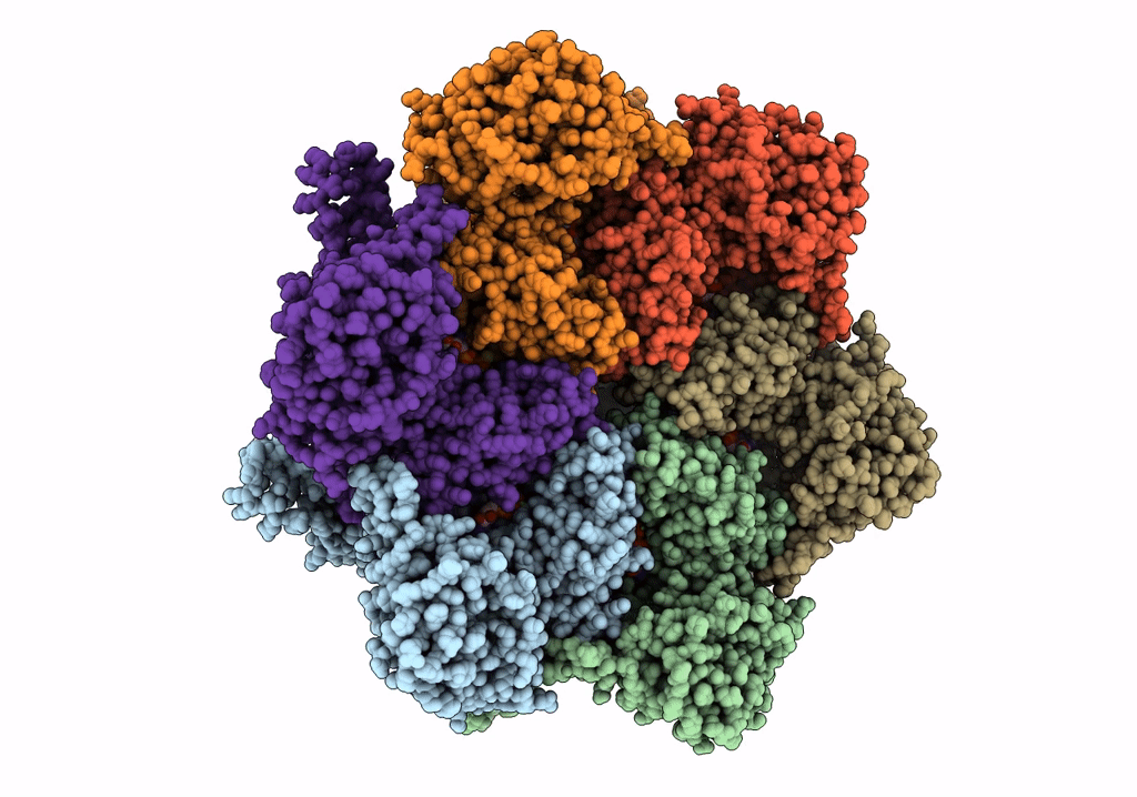 7VCT image