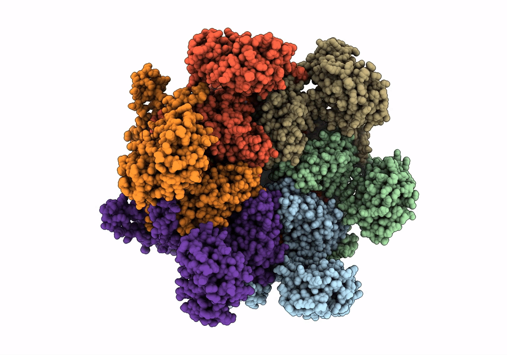 7VCV image