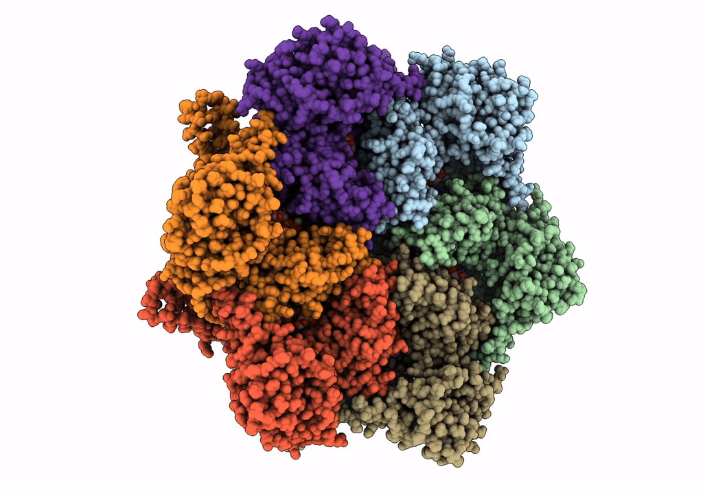 7VCX image