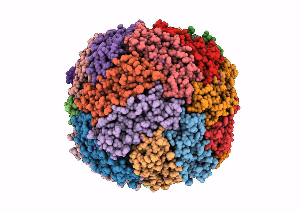 7VD8 image