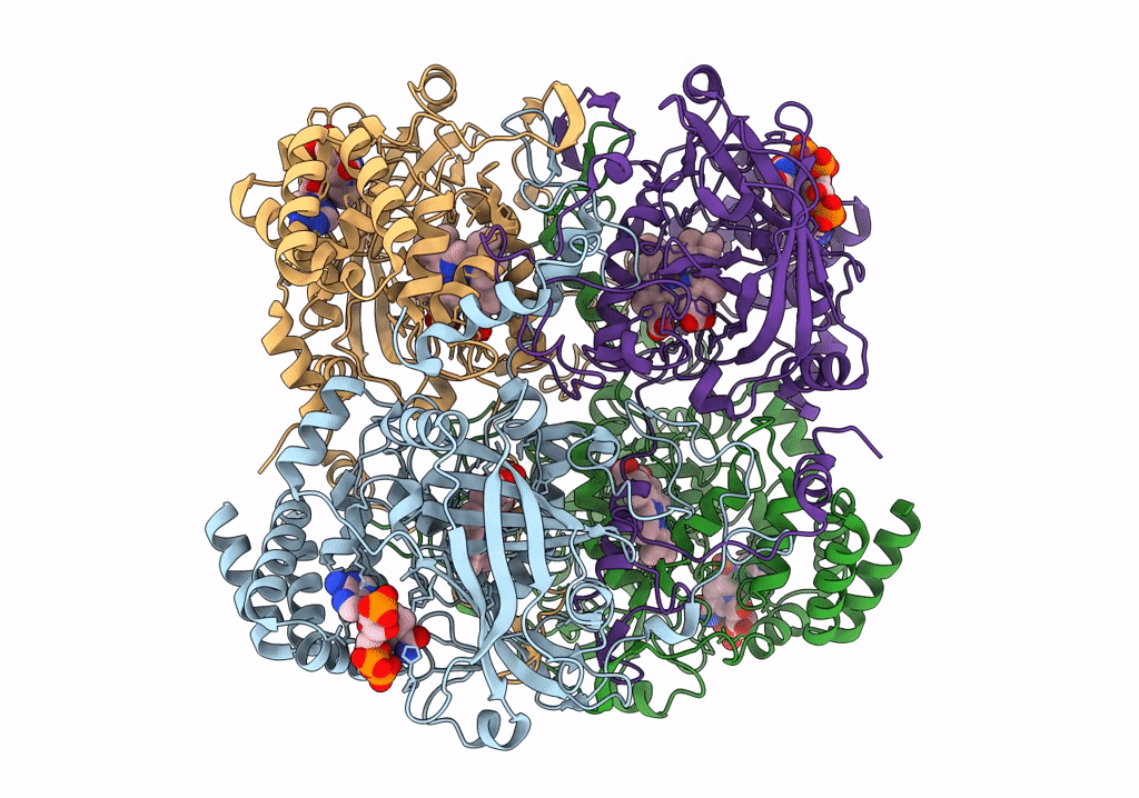 7VD9 image