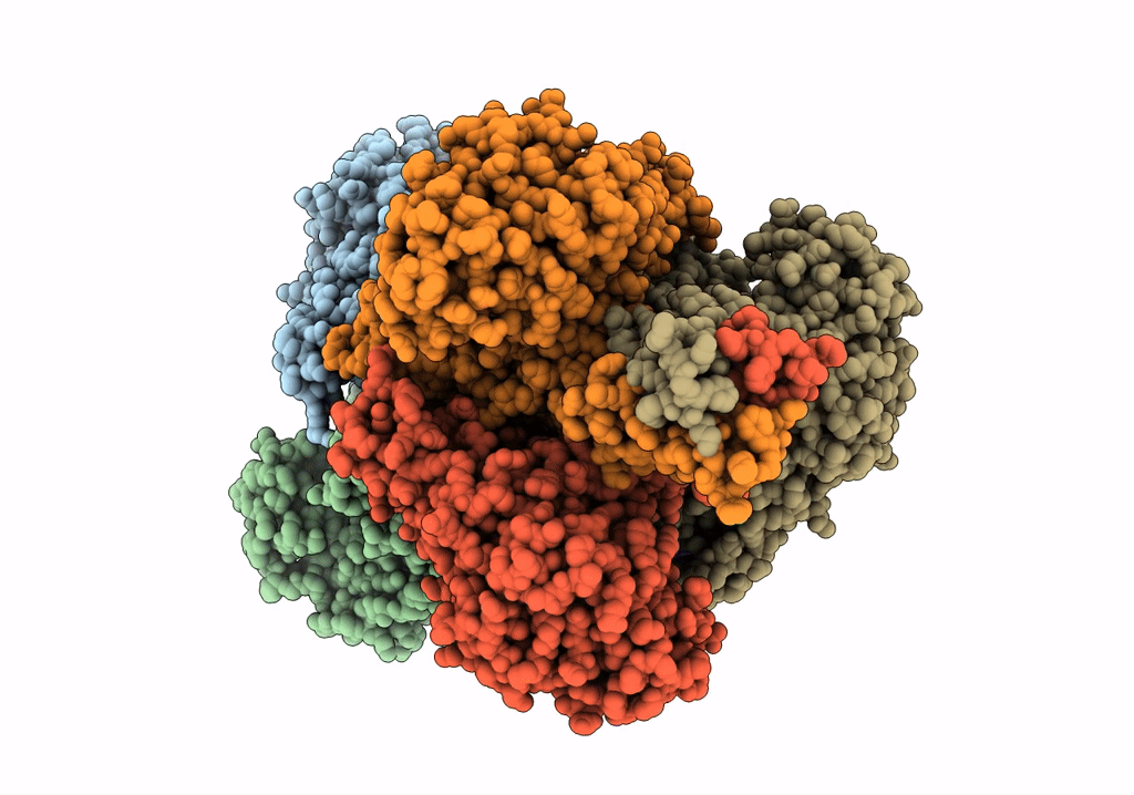 7VDA image