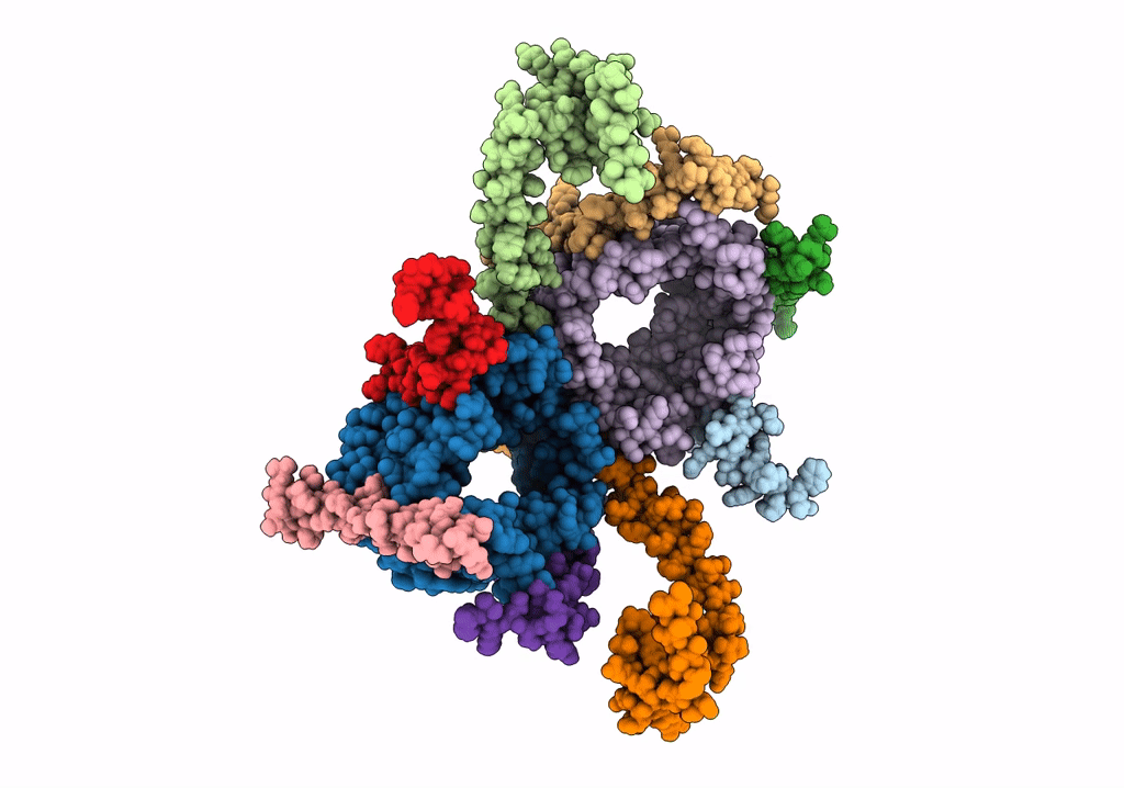 7VDD image