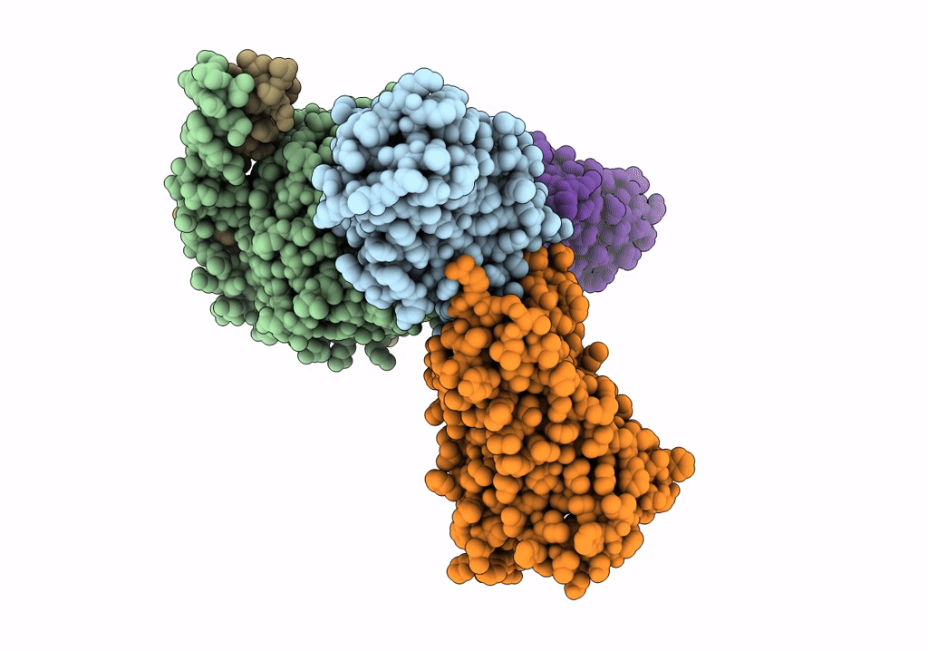 7VDM image
