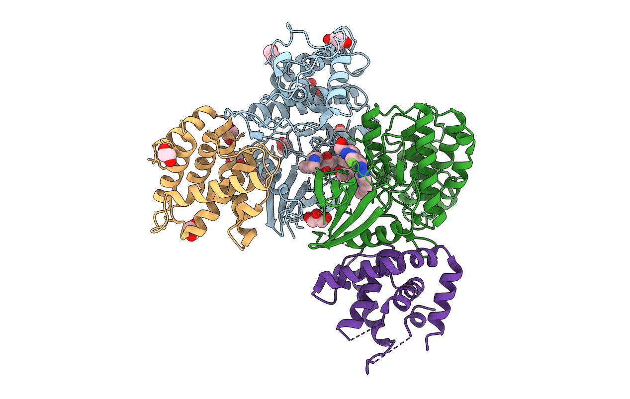 7VDP image