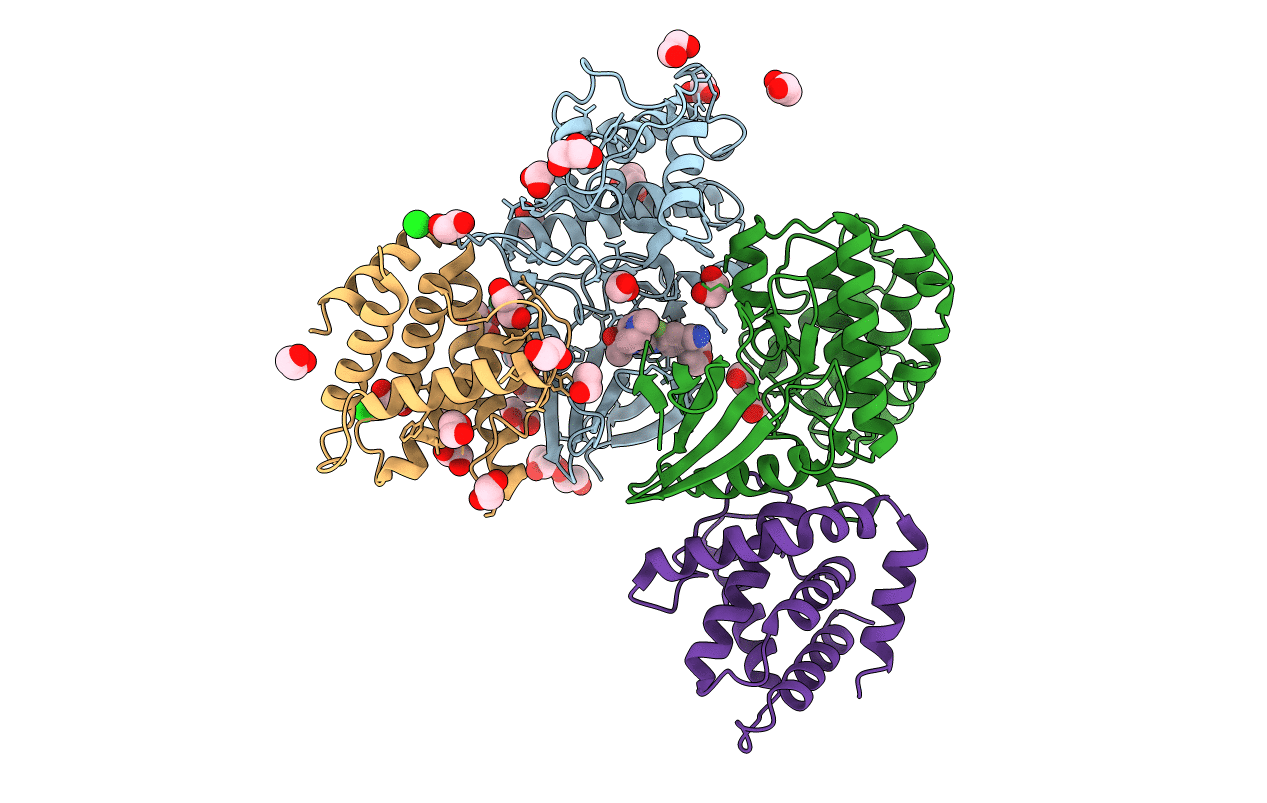 7VDS image