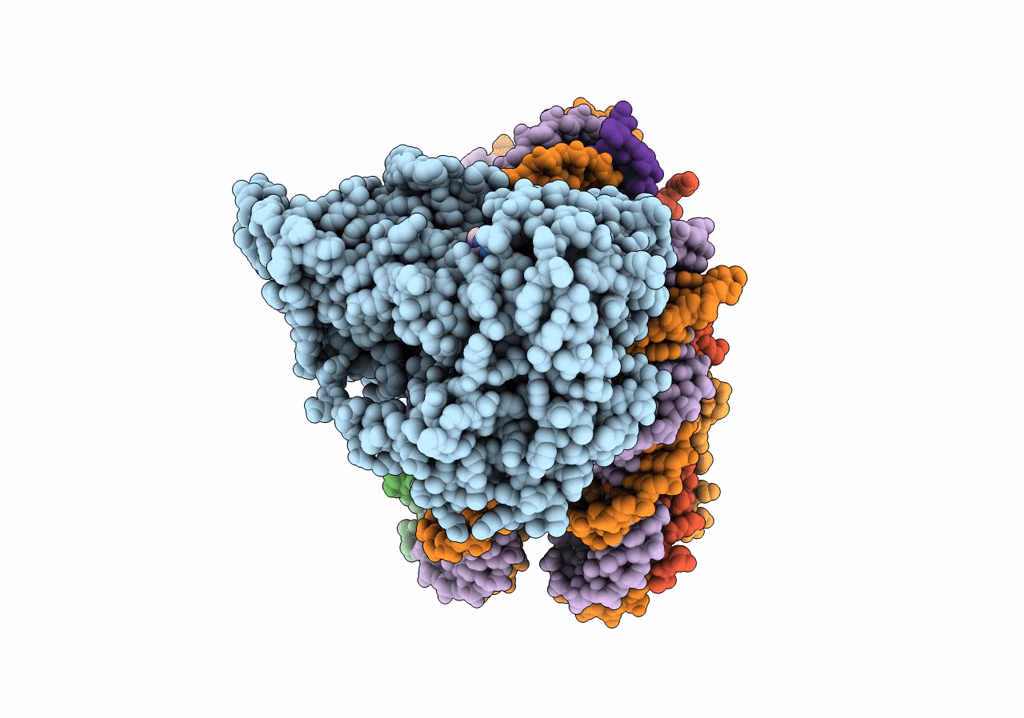 7VDT image