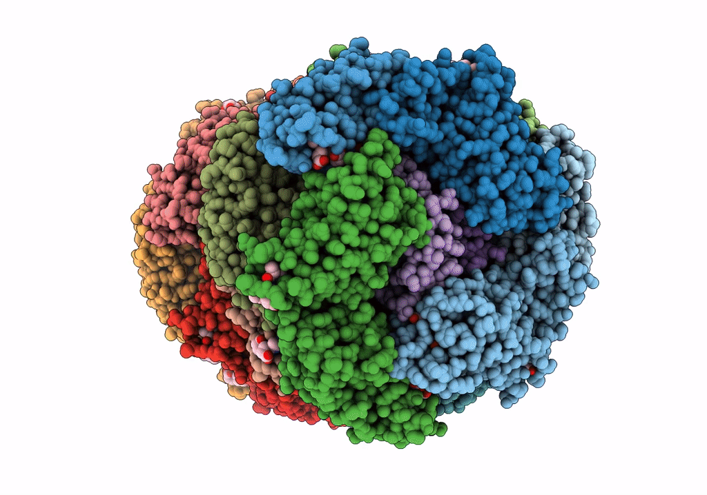 7VEB image