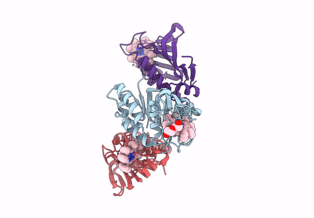 7VF7 image