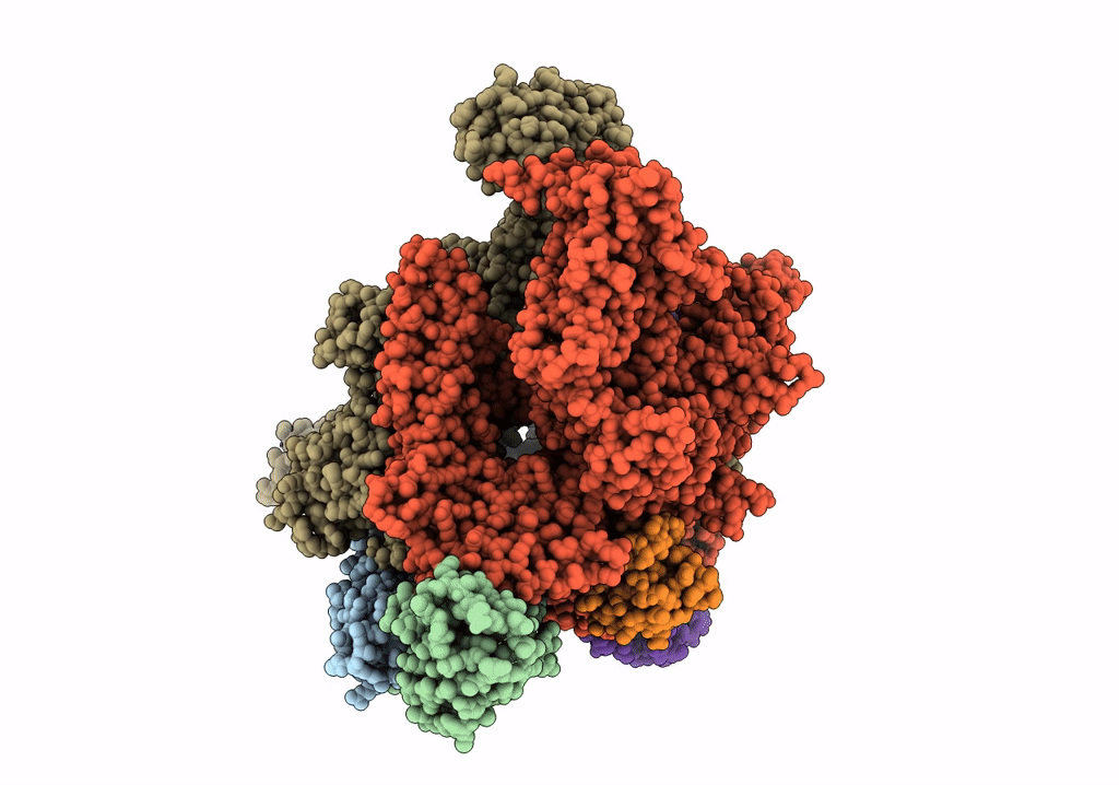 7VF9 image