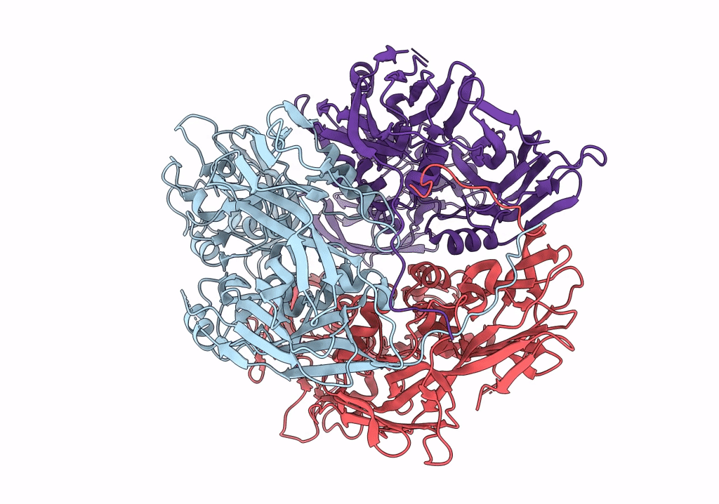 7VFF image