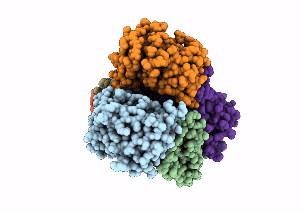 7VFP image
