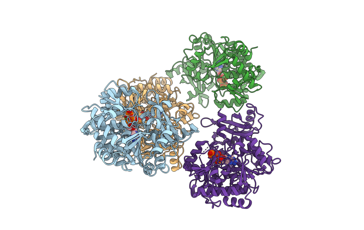7VHV image