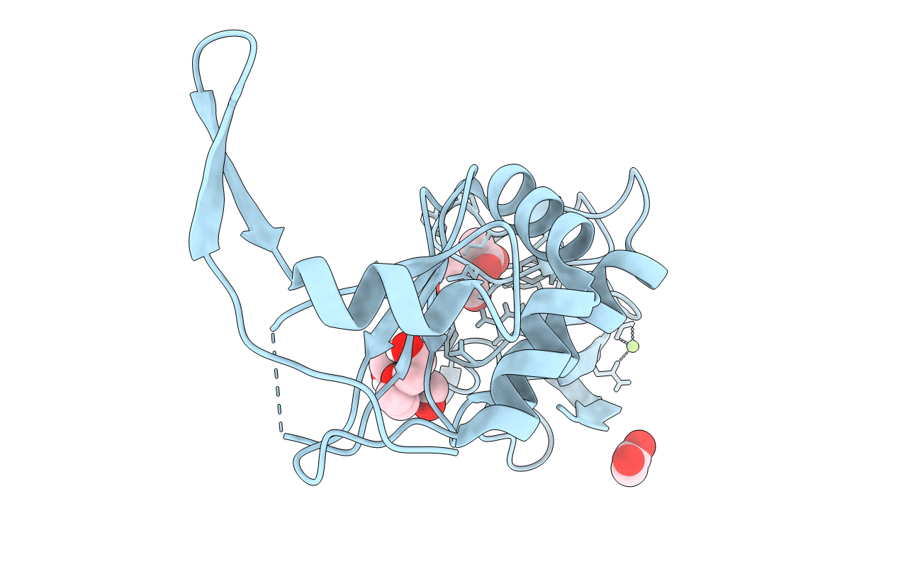 7VLM image