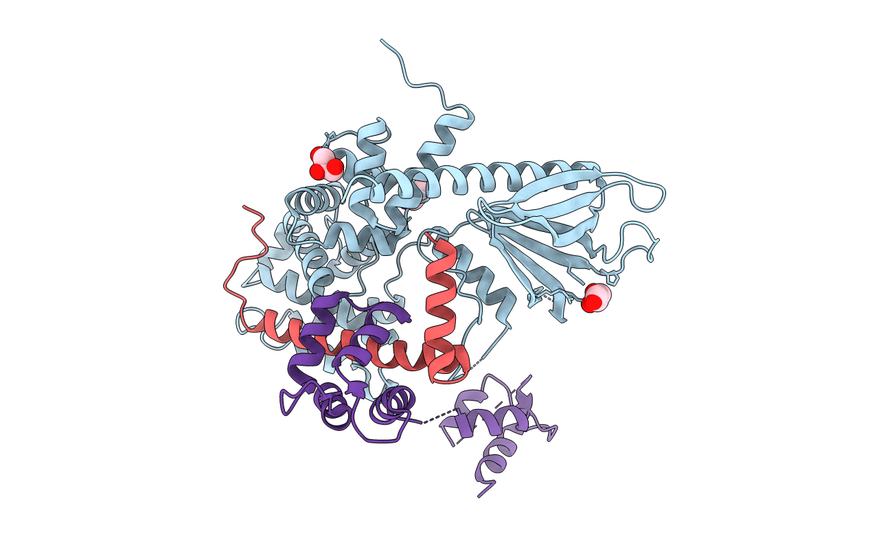 7VMB image