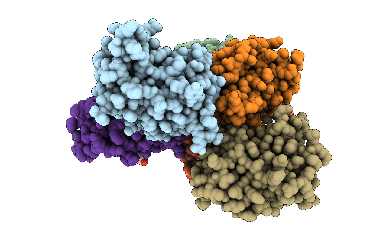 7VMT image