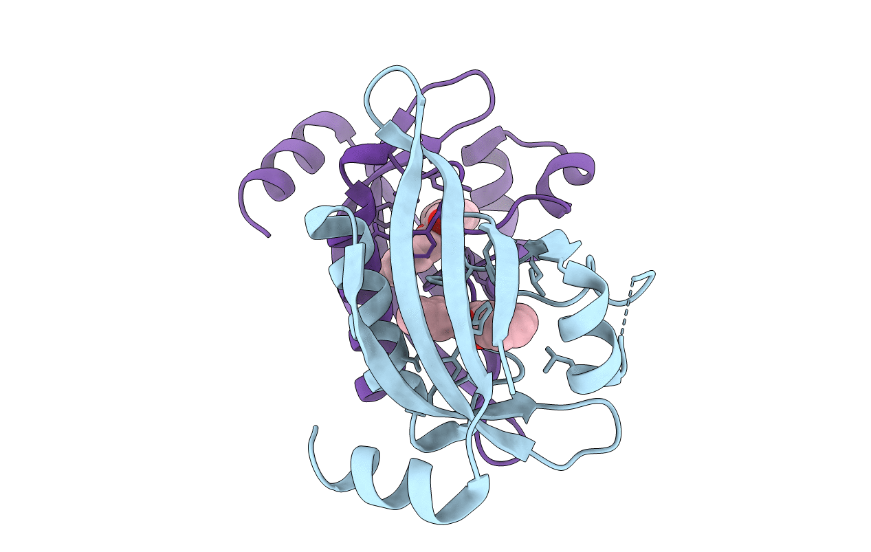 7VNH image