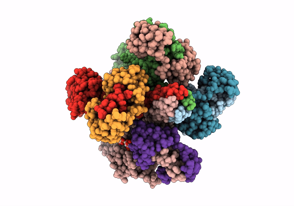 7VNP image