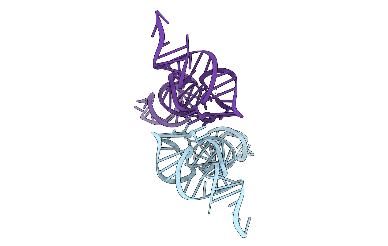 7VNV image