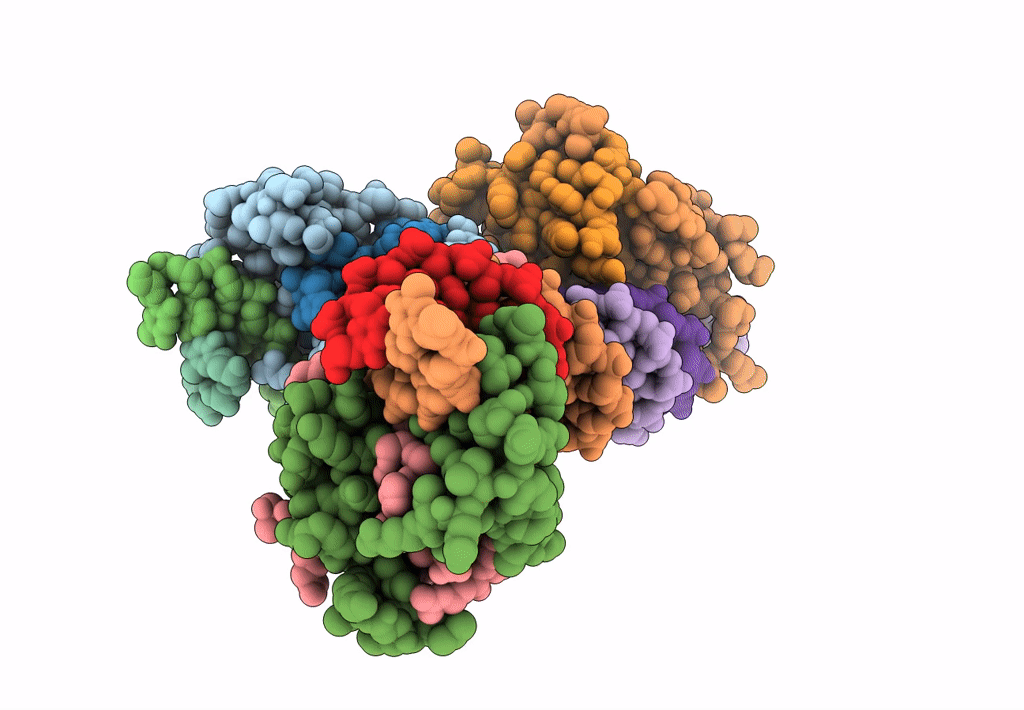 7VP4 image