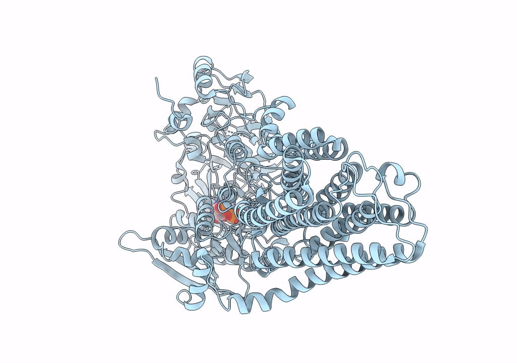 7VPI image