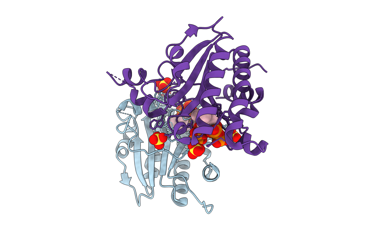 7VQA image