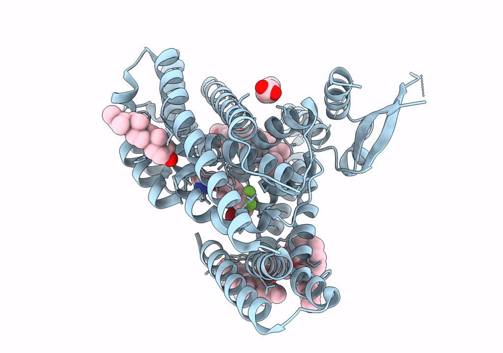 7VR7 image