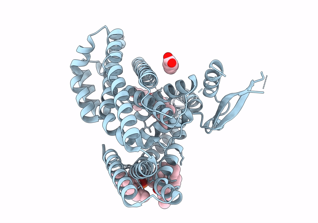 7VR8 image