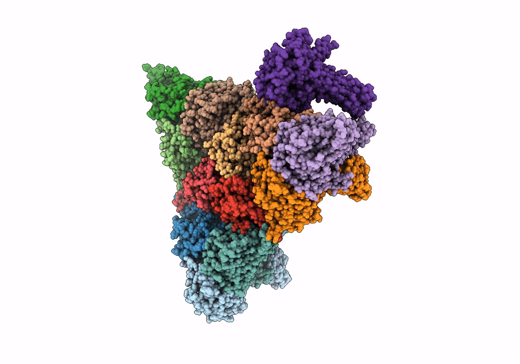 7VRN image