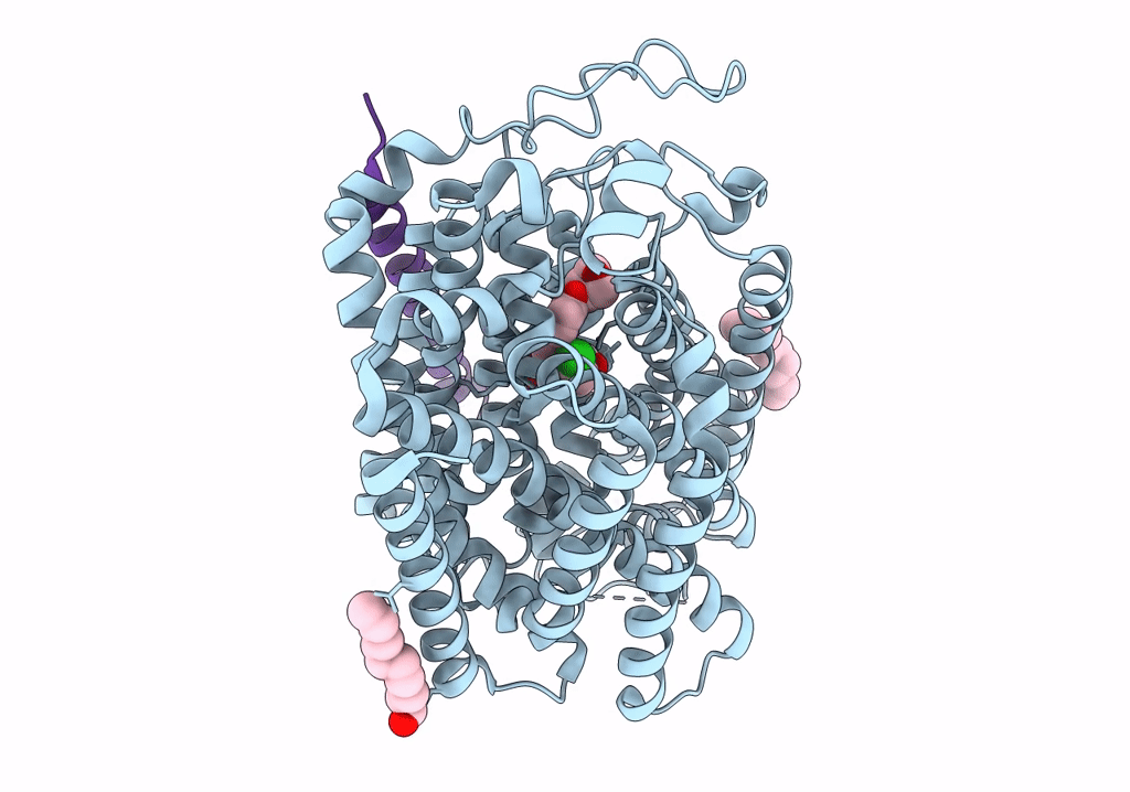 7VSI image