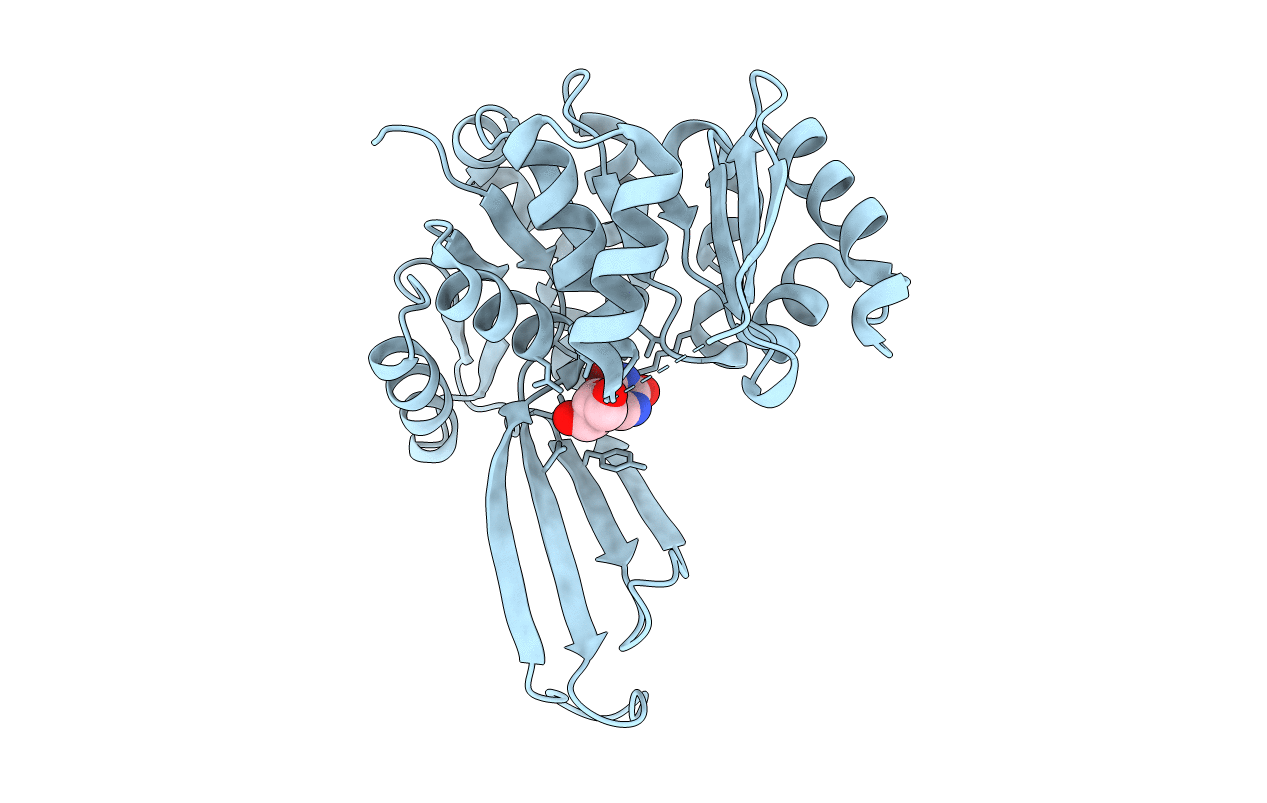 7VSK image