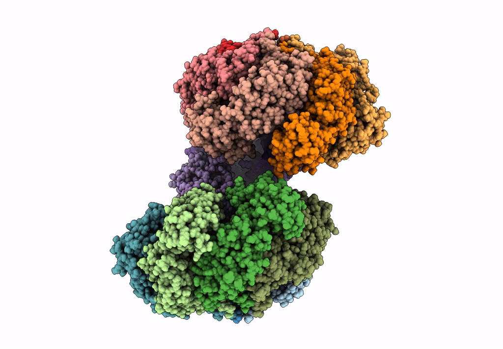 7VSR image