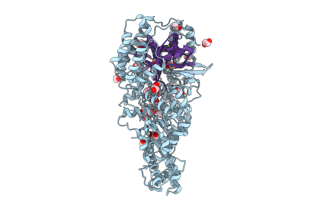 7VTI image