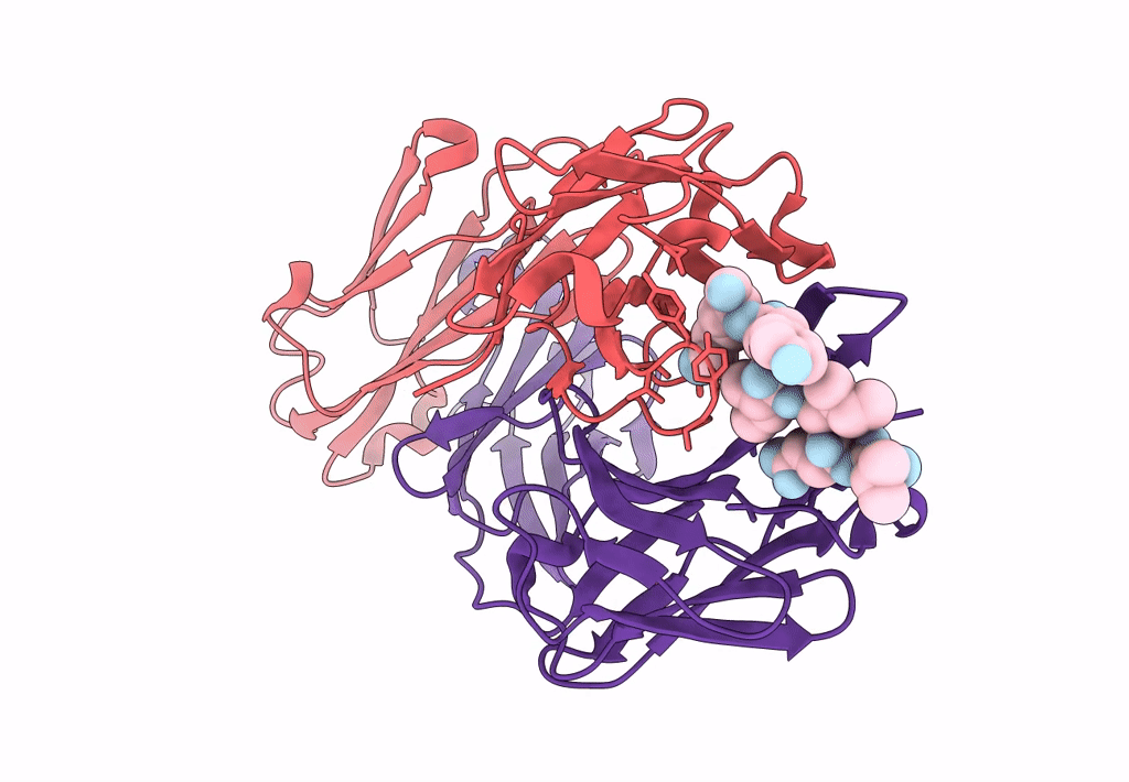 7VTJ image