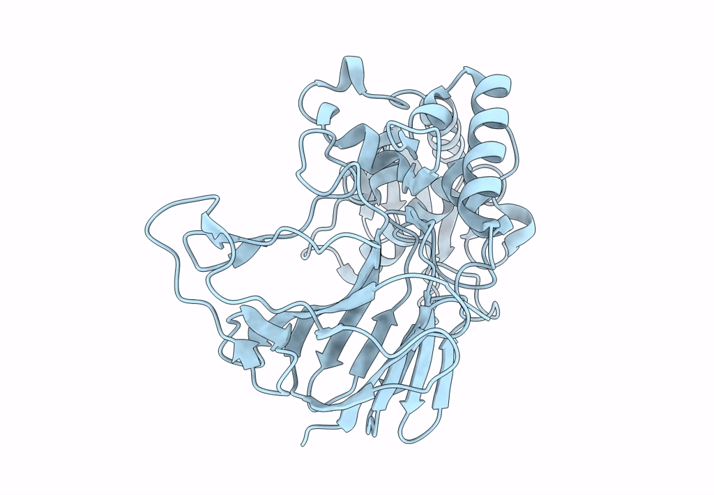 7VTK image