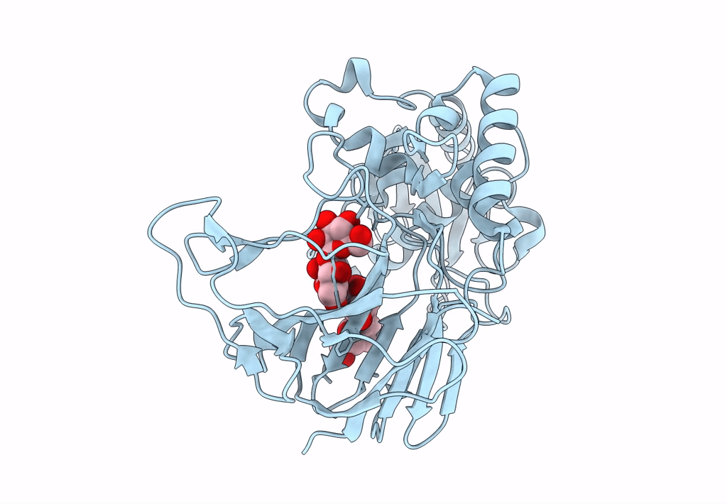 7VTL image