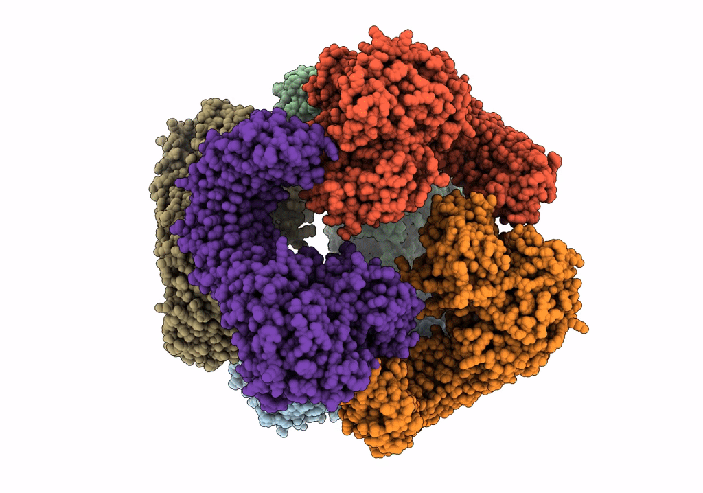 7VTP image