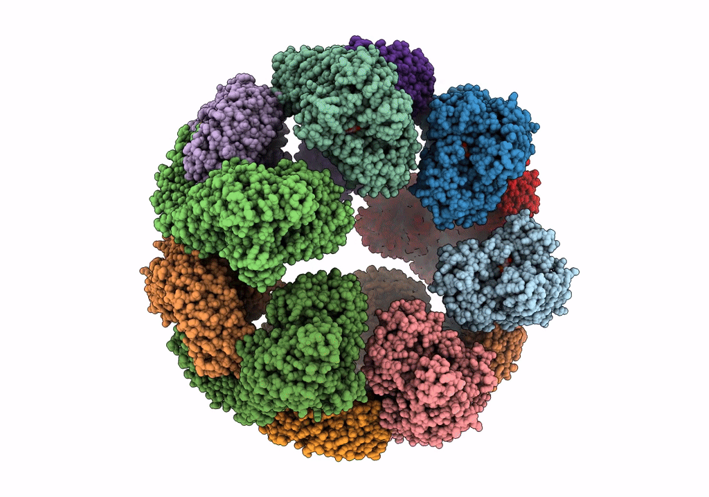 7VTQ image