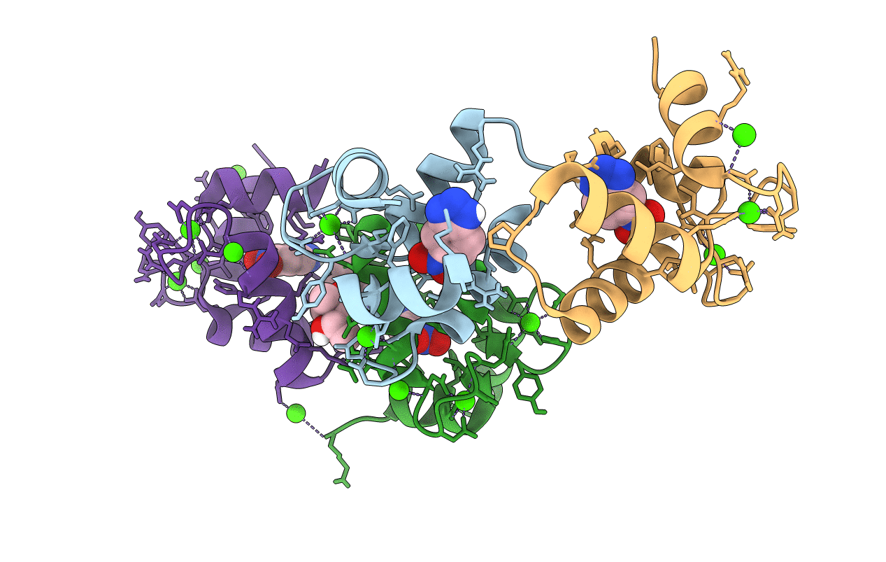 7VUS image