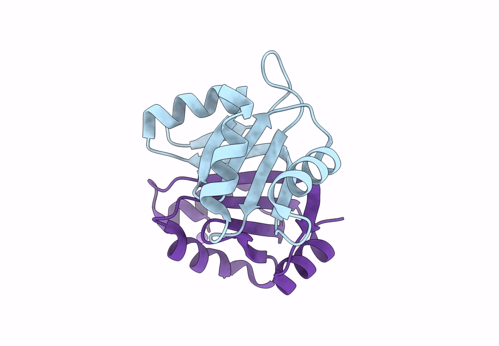 7VXR image